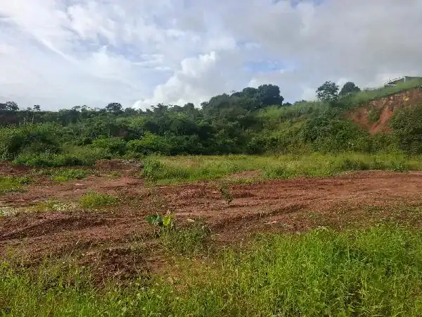 Terreno em BR 408 KM 86, PAUDALHO - PE
