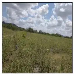 Terreno em CENTRO, JATAUBA - PE