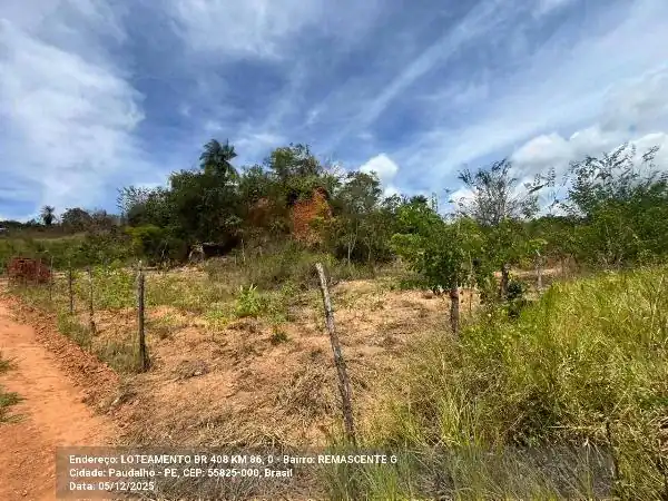 Terreno em BR 408 KM 86, PAUDALHO - PE