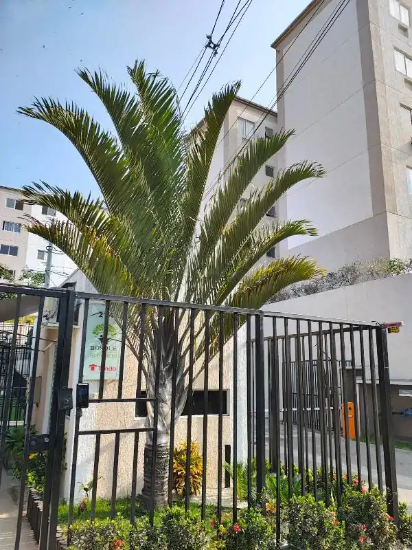Apartamento em MONJOLOS, SAO GONCALO - RJ