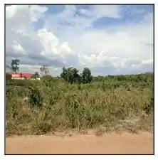 Terreno em PARQUE MOISÉS AMORIM, CHAPADINHA - MA