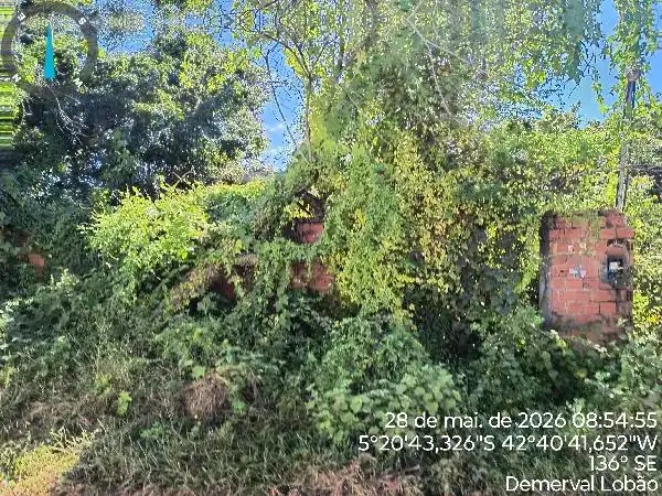 Casa em PIAÇAVA, DEMERVAL LOBAO - PI