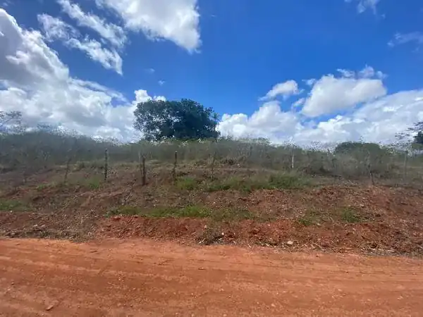 Terreno em LOT RECANTO CARPINA, LAGOA DO CARRO - PE