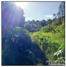 Terreno em JARDIM ALVORADA, CAMPO MOURAO - PR
