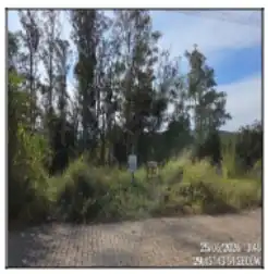 Terreno em PICADA CARÁ, FELIZ - RS