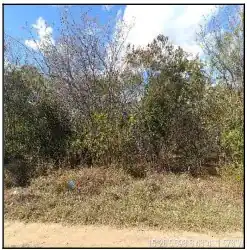 Terreno em PIONEIRO, JAIBA - MG