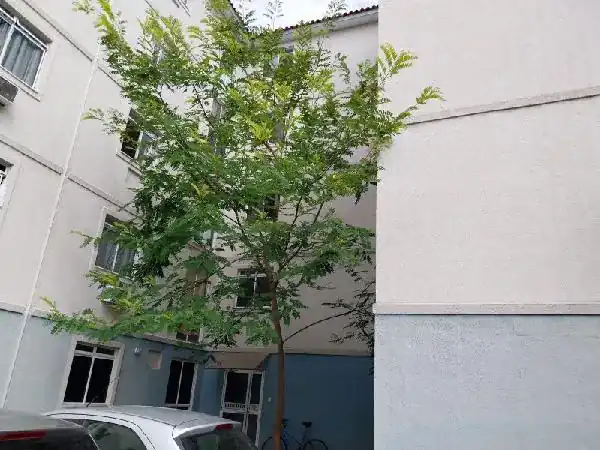 Apartamento em ROCHA SOBRINHO, MESQUITA - RJ