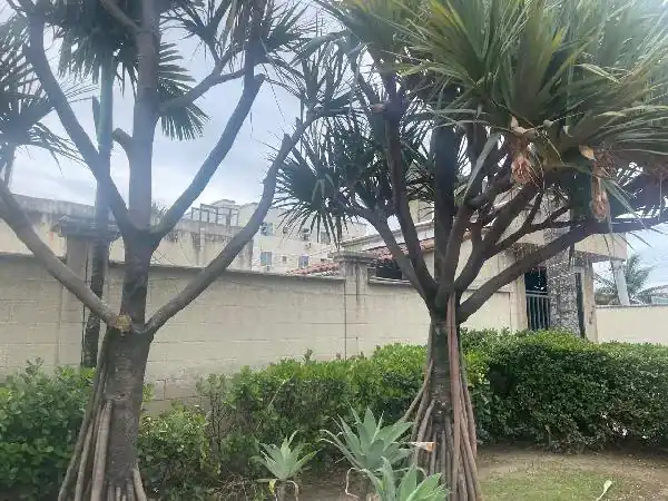 Apartamento em ANCHIETA, RIO DE JANEIRO - RJ