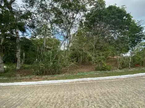 Terreno em CENRO, ALIANCA - PE