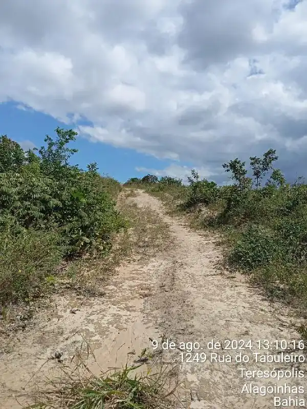Terreno em NOVA BRASILIA, ALAGOINHAS - BA