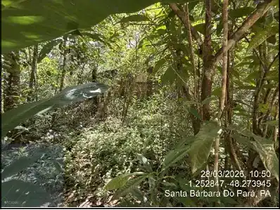 Casa em BAIRRO PAU D ARCO, SANTA BARBARA DO PARA - PA