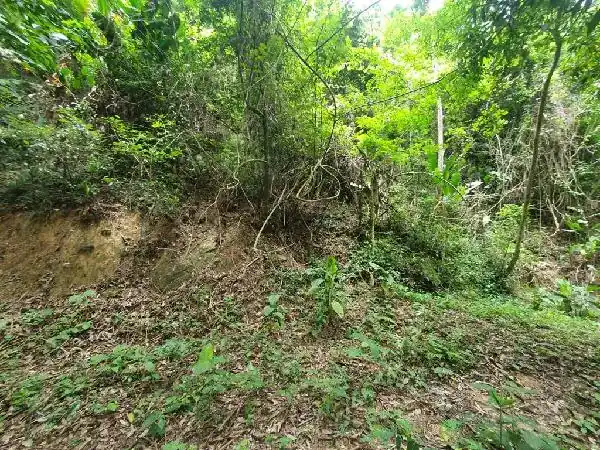 Terreno em PIRATININGA, NITEROI - RJ