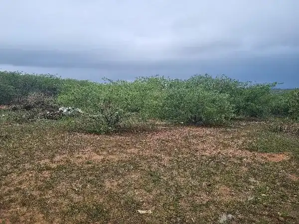 Terreno em ALTO DA CANDELÁRIA, SAO VICENTE - RN