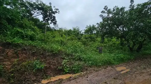 Terreno em LOT RECANTO CARPINA, LAGOA DO CARRO - PE
