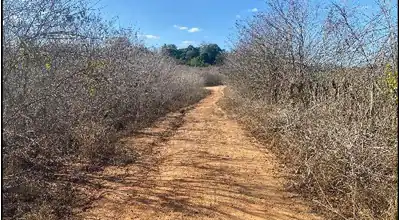 Terreno em LOTEAMENTO RECANTO C, LAGOA DO CARRO - PE