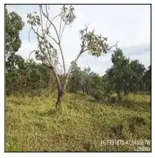 Terreno em PARQUE ALVORADA II, LUZIANIA - GO