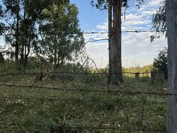 Terreno em LOT RURAL ELDORADO, ELDORADO DO SUL - RS