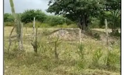 Terreno em GOIANA - PE