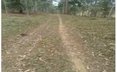 Imóvel rural em CATAGUASES - MG