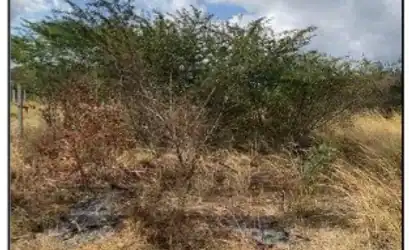 Terreno em CARUARU - PE