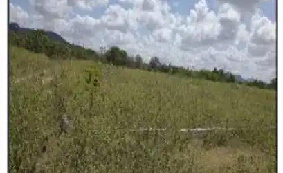 Terreno em JATAUBA - PE