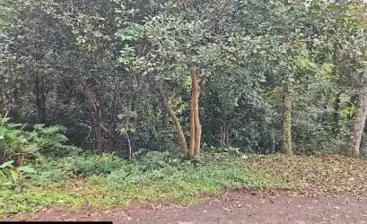 Terreno em PASSO FUNDO - RS