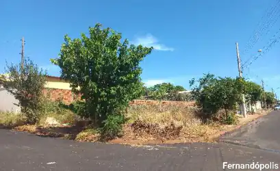 Terreno em FERNANDOPOLIS - SP