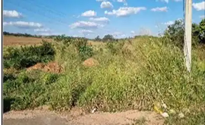 Terreno em TAQUARITINGA - SP