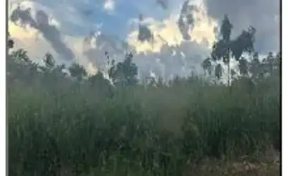 Terreno em CHAPADINHA - MA
