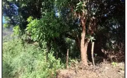 Terreno em SERRA - ES