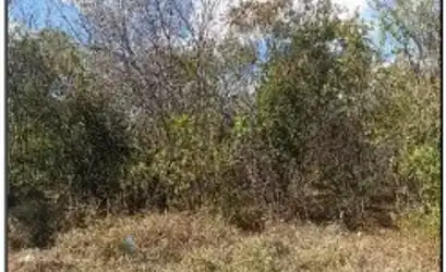 Terreno em JAIBA - MG