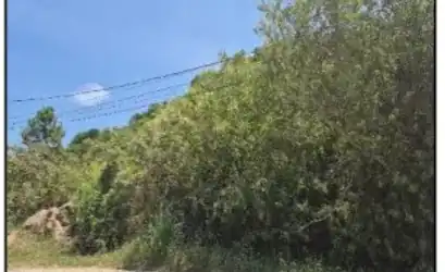 Terreno em BOMBINHAS - SC