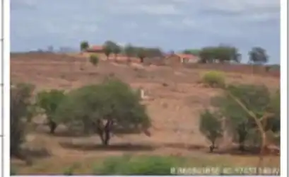 Terreno em CASA NOVA - BA