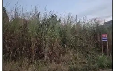 Terreno em PADRE BERNARDO - GO