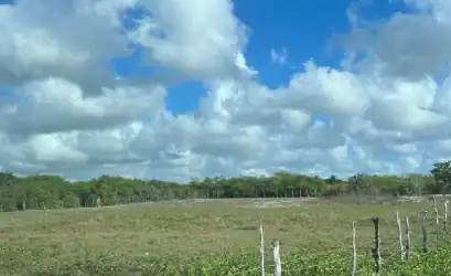Terreno em PARACURU - CE