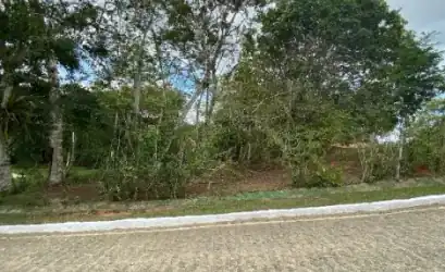 Terreno em ALIANCA - PE