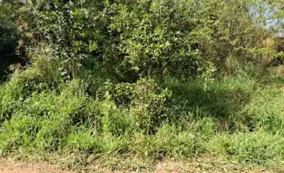 Terreno em ALVORADA - RS