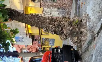 Casa em RIO DE JANEIRO - RJ