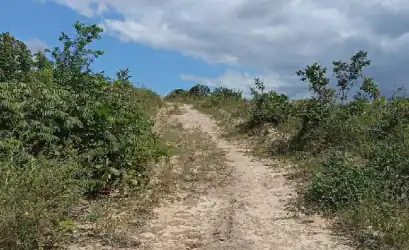 Terreno em ALAGOINHAS - BA