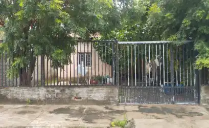 Casa em PIRACURUCA - PI