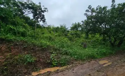 Terreno em LAGOA DO CARRO - PE