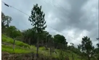 Terreno em RIBEIRAO PIRES - SP