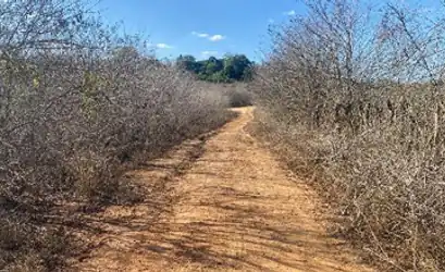 Terreno em LAGOA DO CARRO - PE
